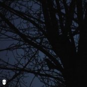 Обложка Pharmacist – Dreamin