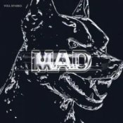 Will Sparks - Mad