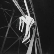 bulletrain - supreme