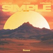 Обложка AALLAR & Raiko & DeeJaVu – Simple