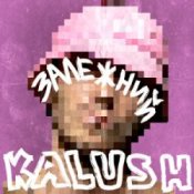 Обложка KALUSH – Залежний