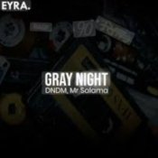 Обложка DNDM, Mr Salama – Gray Night