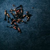 Обложка Doechii & SZA – girl, get up.