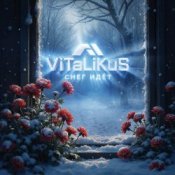 Обложка ViTaLiKuS – Снег идёт