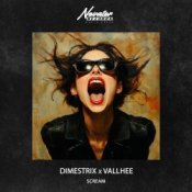 Обложка DIMESTRIX & VALLHEE – Scream