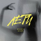 Обложка alyona alyona & SKYLERR – Лети