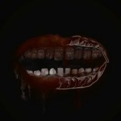 Обложка Бонд с кнопкой – Слоны