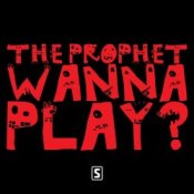 Обложка The Prophet – Wanna play