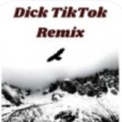 unknown - Тык дык тыг дык шабаман Байден Байден Байден (tik tok)