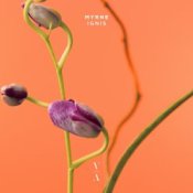 Обложка MYRNE – Time (Something To You)