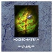 Обложка Данила Дуденков, 2Хвоста – Космонавтам