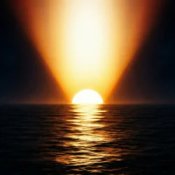 K-391 – Sunshine