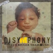 Обложка DJ Symphony feat. Mayor. Steve Jones – Go Bro