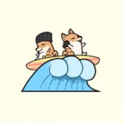 Обложка Hyper Potions – Surf