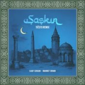 Обложка Ilkay Sencan & Mahmut Orhan – Şaşkın (Tiësto Remix)