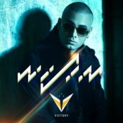 Обложка Wisin – Contra La Pared