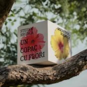 Обложка Stefan Hrusca – Un copac cu flori (Mentol Remix)