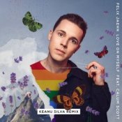 Обложка Felix Jaehn feat. Calum Scott – Love On Myself (Keanu Silva Remix)