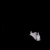 Обложка Bob Moses – Like It Or Not