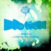 Notion – Woeful