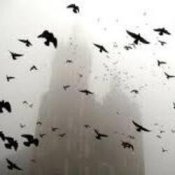 ДДТ - На небе вороны