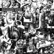 Обложка Black Sun Empire – Stranger