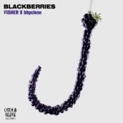 Обложка FISHER & bbyclose – Blackberries (Extended Mix)