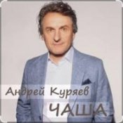 Обложка Андрей Куряев – Чаша