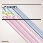 Обложка Hybrid – If I Survive