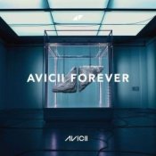 Обложка Avicii – Wake Me Up