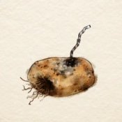 Обложка Sara Beth – Old Potatoes