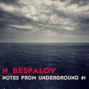 Обложка N_Bespalov – Flat