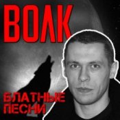Обложка Виталий Волк – Стая