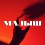 Обложка Тайпан – Малыш