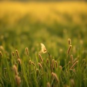 Обложка Сергей Видов – Святая Русь