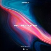 Обложка Monocule & Louis III & Nicky Romero – Waiting For Me