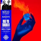Обложка Nico de Andrea & AUGUSTE & Mougleta – What You Thinking Of