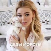 Обложка Алина Гросу – Деды морозы