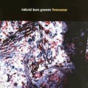 Natural Born Grooves - Forerunner (Future Breeze Mix)
