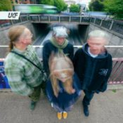 Обложка Born On Road & A Little Sound – Reload