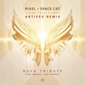 Обложка Pixel Vs Space Cat – Clear Test Signal (Astrix Rmx)