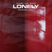 Обложка Tujamo feat. VIZE & Majan – Lonely (Besomorph Remix)