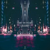 Обложка R3hab & Mike Williams – Lullaby