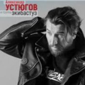 Обложка Александр Устюгов – Почтовые птицы