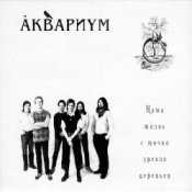 Обложка Аквариум – Капитан Воронин