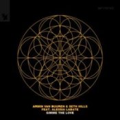 Обложка Armin van Buuren & Seth Hills & Alessia Labate – Gimme The Love