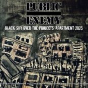 Обложка Public Enemy – Siick
