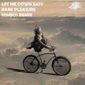 Обложка Rare Pleasure – Let Me Down Easy