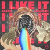 Обложка SLESS & Loboski – I Like It