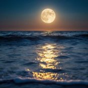 ОДМ - Moonlit Waves